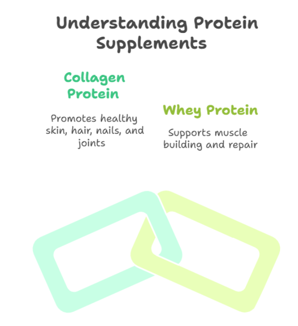 Collagen Vs. Whey Protein- A Comprehensive Guide To Choosing The Best